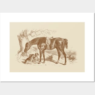 Horse & Hounds Hunting Scene Vintage Illustration Posters and Art